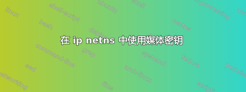 在 ip netns 中使用媒体密钥