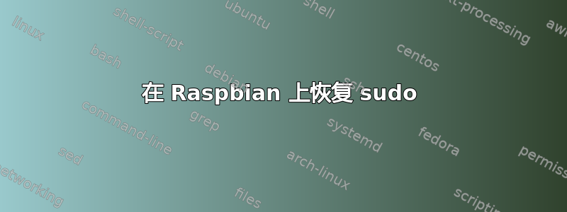 在 Raspbian 上恢复 sudo