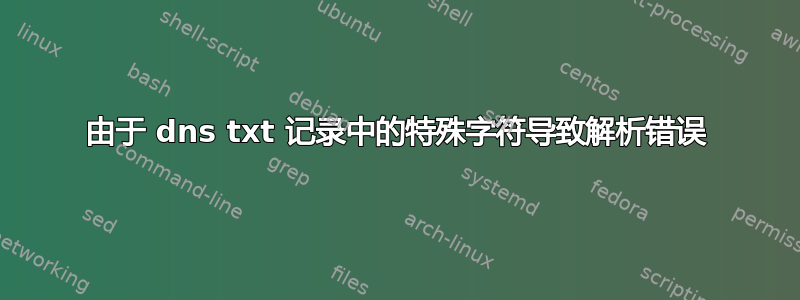 由于 dns txt 记录中的特殊字符导致解析错误