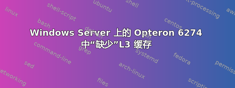 Windows Server 上的 Opteron 6274 中“缺少”L3 缓存