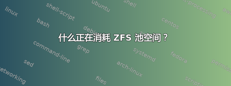 什么正在消耗 ZFS 池空间？
