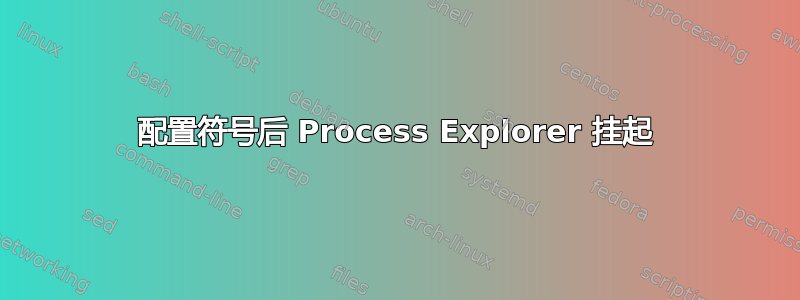 配置符号后 Process Explorer 挂起
