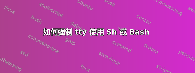 如何强制 tty 使用 Sh 或 Bash