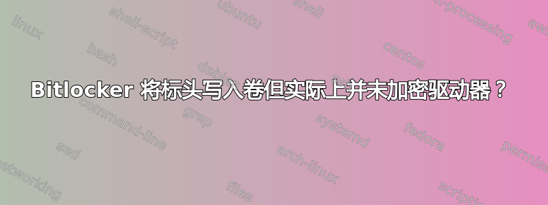 Bitlocker 将标头写入卷但实际上并未加密驱动器？