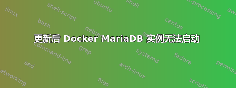 更新后 Docker MariaDB 实例无法启动