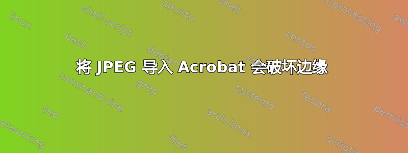 将 JPEG 导入 Acrobat 会破坏边缘