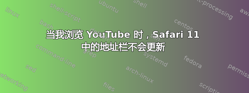 当我浏览 YouTube 时，Safari 11 中的地址栏不会更新