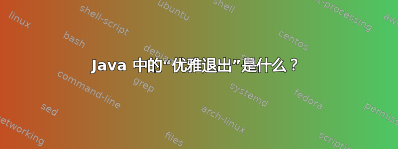 Java 中的“优雅退出”是什么？