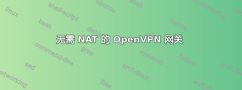 无需 NAT 的 OpenVPN 网关