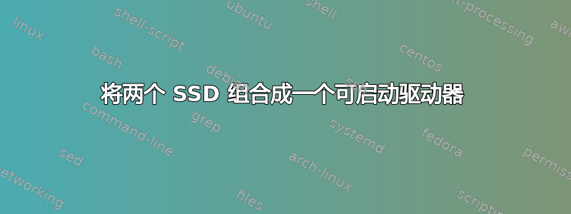 将两个 SSD 组合成一个可启动驱动器