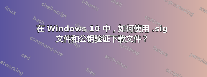 在 Windows 10 中，如何使用 .sig 文件和公钥验证下载文件？