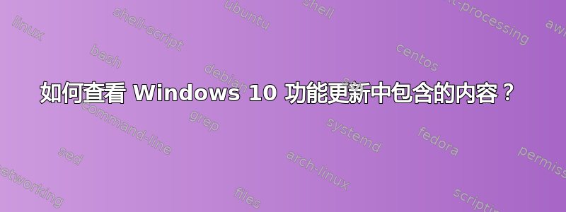 如何查看 Windows 10 功能更新中包含的内容？