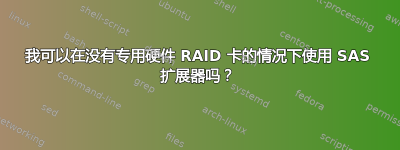 我可以在没有专用硬件 RAID 卡的情况下使用 SAS 扩展器吗？