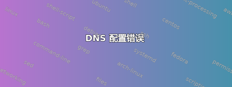 DNS 配置错误