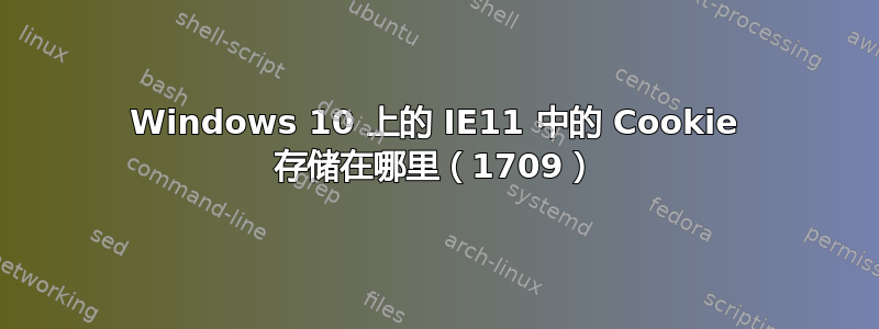 Windows 10 上的 IE11 中的 Cookie 存储在哪里（1709）