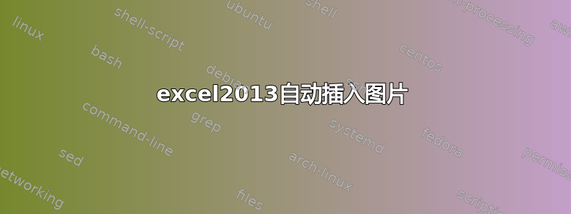 excel2013自动插入图片