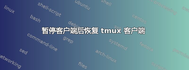 暂停客户端后恢复 tmux 客户端