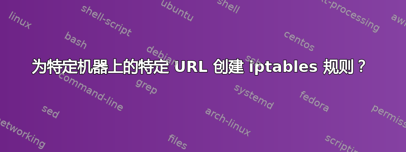 为特定机器上的特定 URL 创建 iptables 规则？