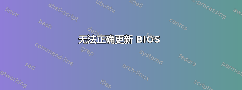 无法正确更新 BIOS