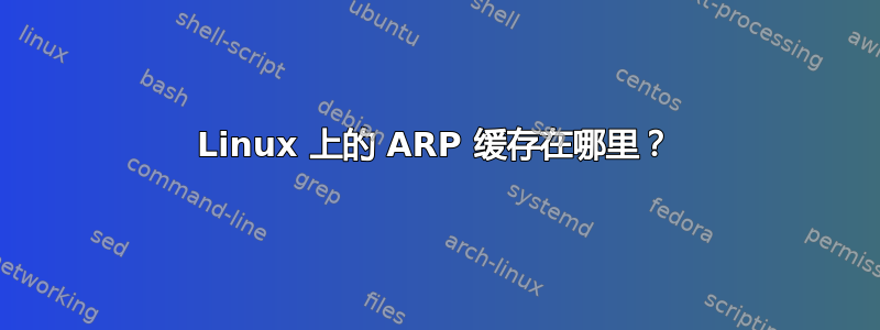 Linux 上的 ARP 缓存在哪里？