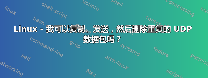 Linux - 我可以复制、发送，然后删除重复的 UDP 数据包吗？