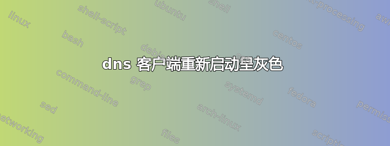 dns 客户端重新启动呈灰色