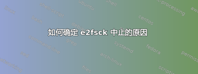 如何确定 e2fsck 中止的原因