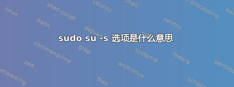 sudo su -s 选项是什么意思