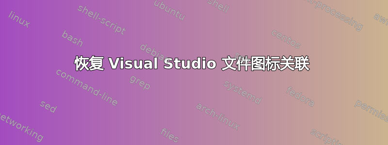 恢复 Visual Studio 文件图标关联