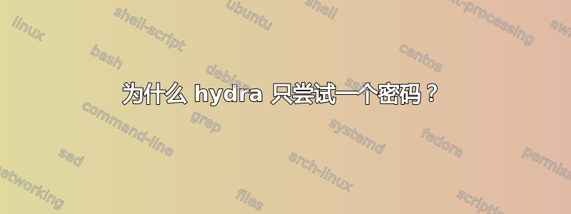 为什么 hydra 只尝试一个密码？