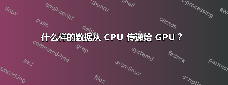 什么样的数据从 CPU 传递给 GPU？