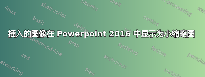 插入的图像在 Powerpoint 2016 中显示为小缩略图