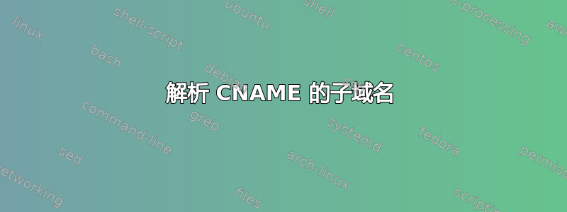 解析 CNAME 的子域名