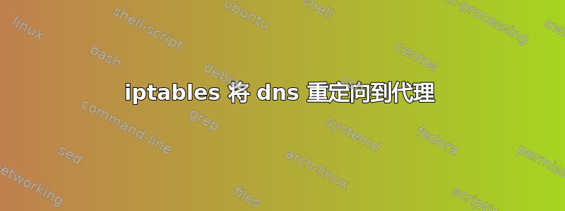 iptables 将 dns 重定向到代理