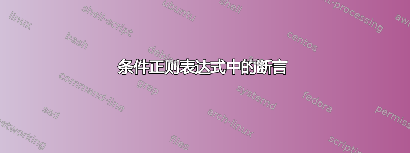 条件正则表达式中的断言