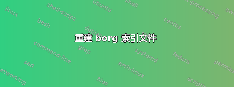 重建 borg 索引文件