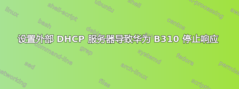 设置外部 DHCP 服务器导致华为 B310 停止响应