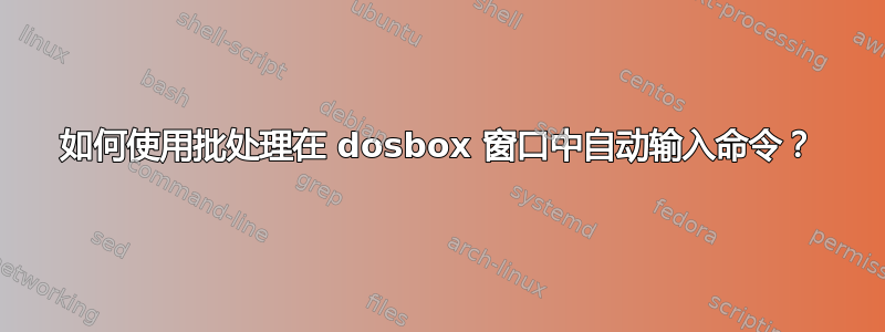 如何使用批处理在 dosbox 窗口中自动输入命令？