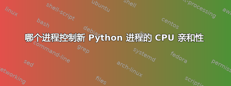 哪个进程控制新 Python 进程的 CPU 亲和性