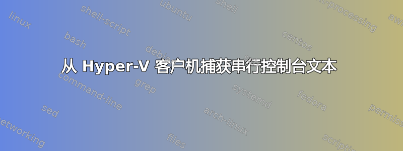 从 Hyper-V 客户机捕获串行控制台文本