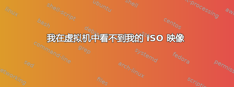 我在虚拟机中看不到我的 ISO 映像