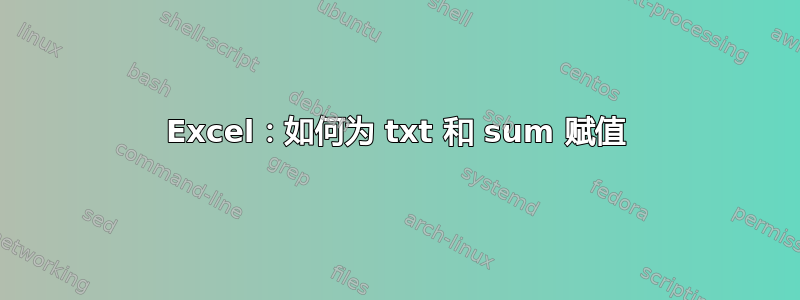 Excel：如何为 txt 和 sum 赋值