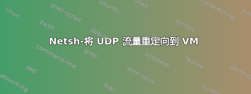 Netsh-将 UDP 流量重定向到 VM