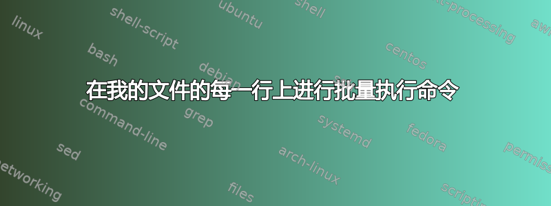 在我的文件的每一行上进行批量执行命令