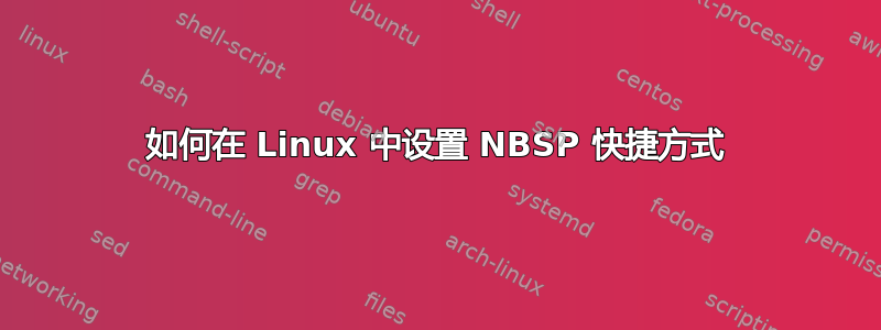 如何在 Linux 中设置 NBSP 快捷方式