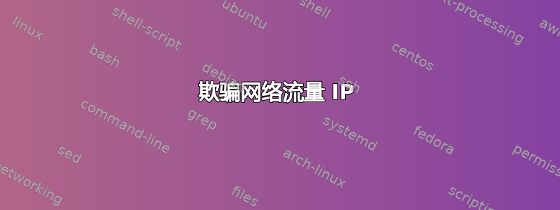 欺骗网络流量 IP