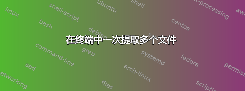 在终端中一次提取多个文件