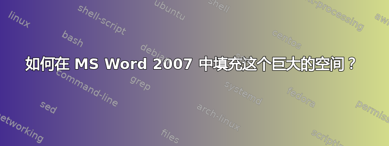 如何在 MS Word 2007 中填充这个巨大的空间？