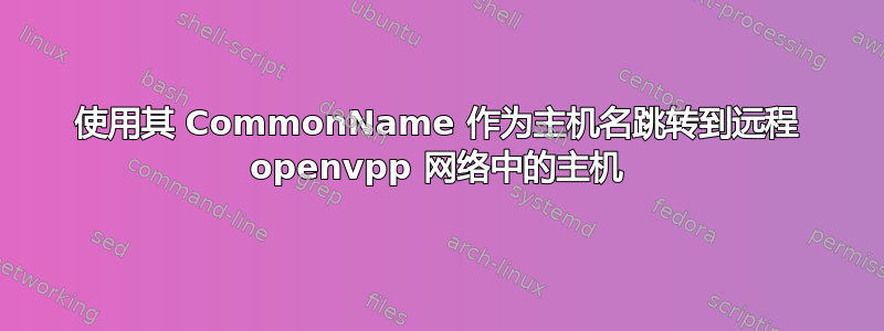 使用其 CommonName 作为主机名跳转到远程 openvpp 网络中的主机