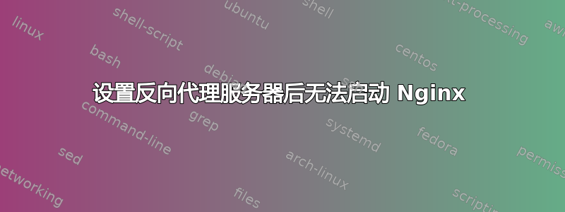 设置反向代理服务器后无法启动 Nginx